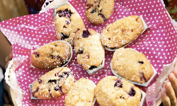 Madalenas de frutos silvestres
