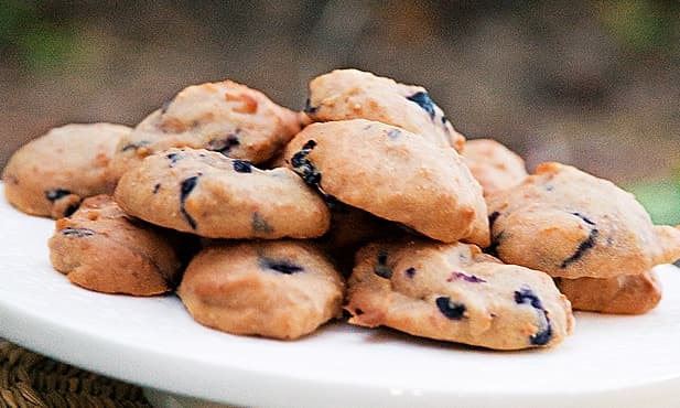 Biscoitos de mirtilo
