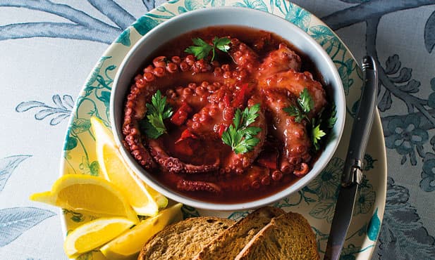 Polvo guisado com tomate