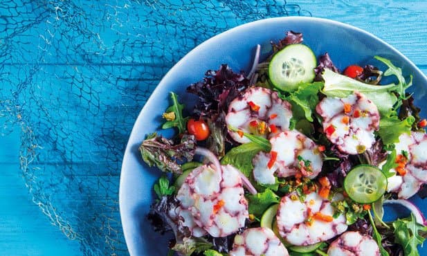 Carpaccio de polvo com salada