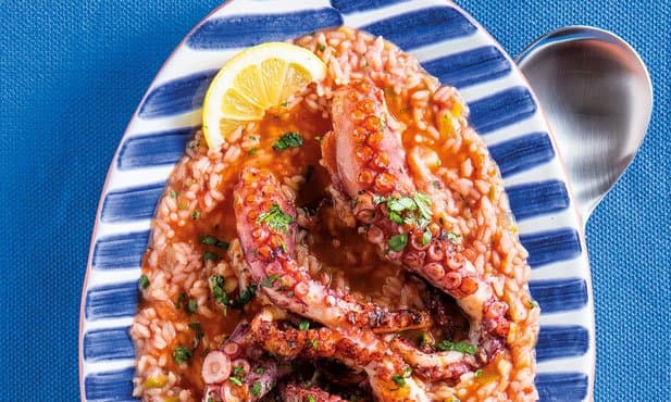 Polvo braseado com arroz do mesmo
